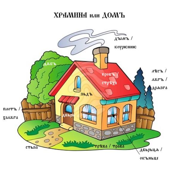 Dům