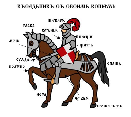 Jezdec