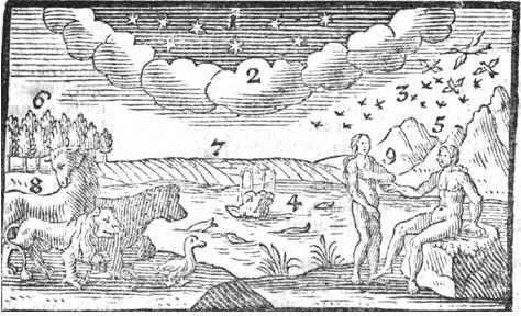 Orbis pictus 3